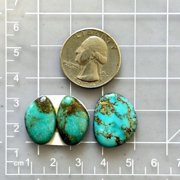 Medium Ocean Blue Freeform Number 8 Turquoise, Set of 3 Dimensions