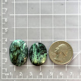 Medium Deep Blue Freeform Crescent Lake Variscite, Set of 2 Dimensions