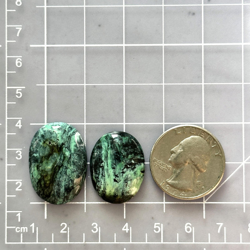 Medium Deep Blue Freeform Crescent Lake Variscite, Set of 2 Dimensions