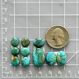 Small Sea Green Mixed Tyrone Turquoise, Set of 10 Dimensions