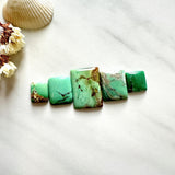 Small Sea Green Mixed Crescent Lake Variscite, Set of 5 Background