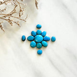 Small Sky Blue Mixed Sleeping Beauty Turquoise, Set of 13 Background