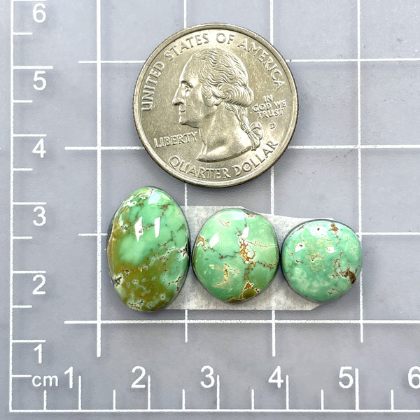 Small Mint Green Freeform Carico Lake Turquoise, Set of 3 Dimensions