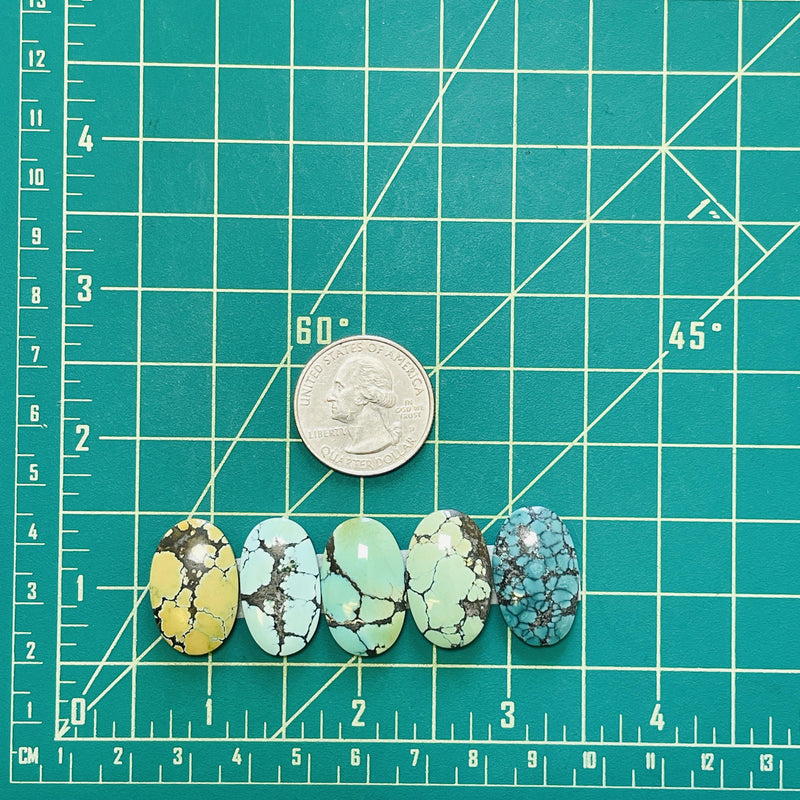 Medium Mixed Oval Mixed Turquoise, Set of 5 Dimensions