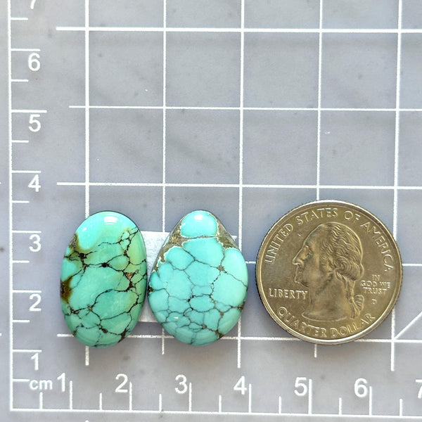 Large Sky Blue Mixed Broken Arrow Variscite, Set of 2 Dimensions