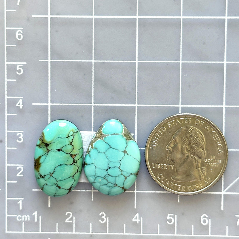 Large Sky Blue Mixed Broken Arrow Variscite, Set of 2 Dimensions