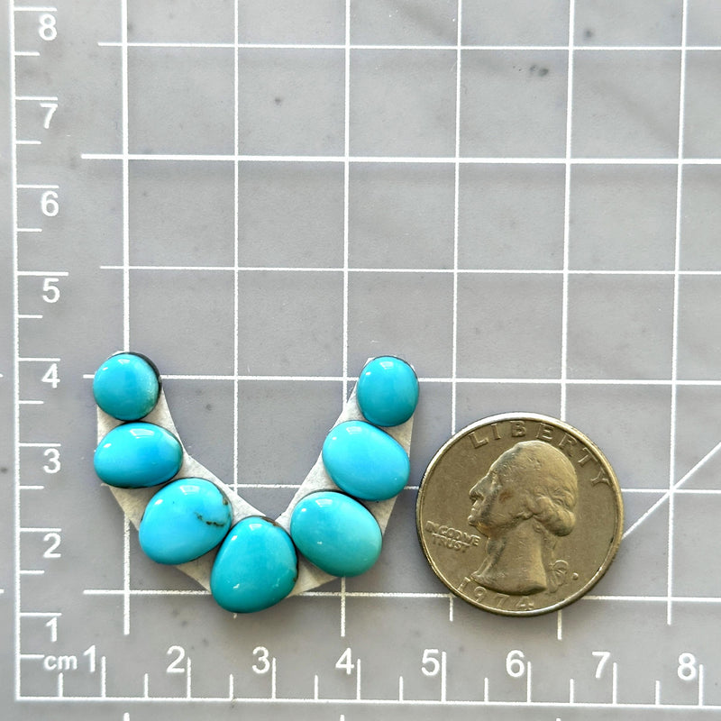 Small Sky Blue Oval Sleeping Beauty Turquoise, Set of 7 - Turquoise Moose