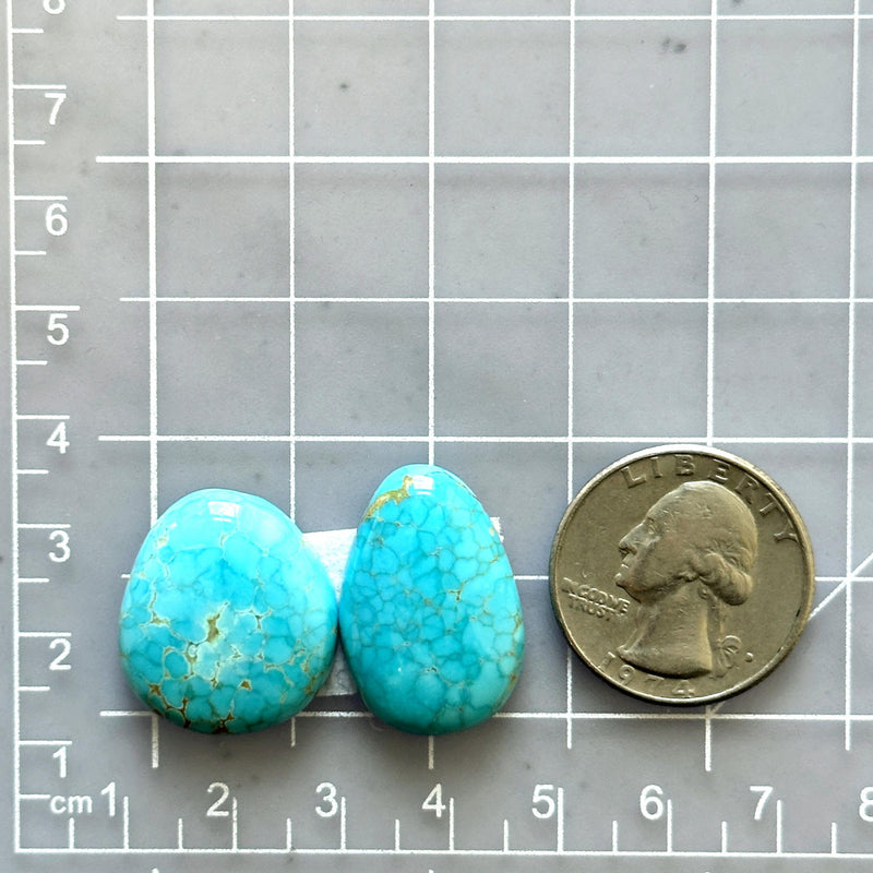 Large Sky Blue Freeform Royston Turquoise, Set of 2 Dimensions