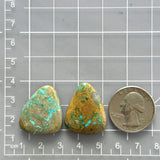 Large Sky Blue Freeform Royston Turquoise, Set of 2 Dimensions