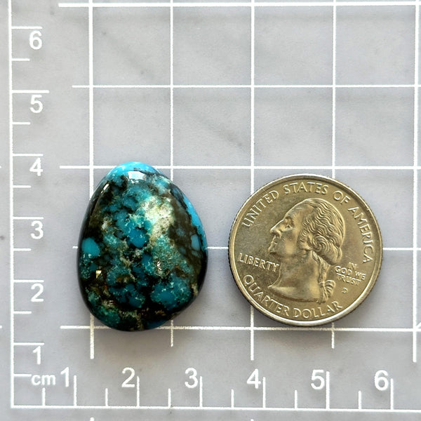 Large Ocean Blue Freeform Yungai Turquoise Dimensions