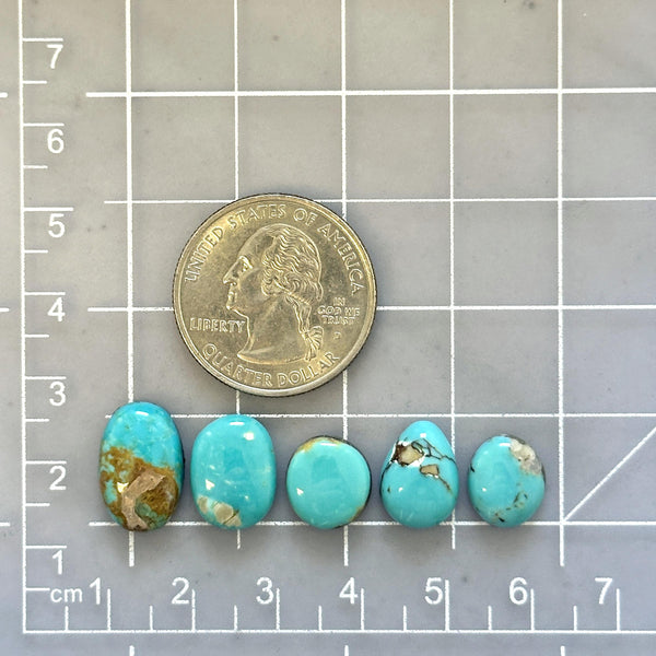 Natural Kingman Collection – Turquoise Moose