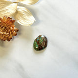 Medium Earth Brown Freeform Number 8 Turquoise Background