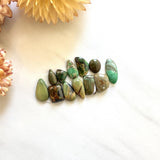 Small Mixed Mixed Mixed Turquoise, Set of 12 Background