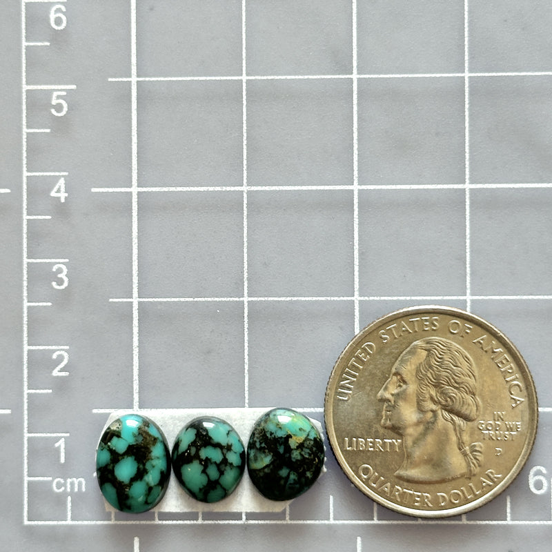 Small Ocean Blue Mixed Emerald Rose Variscite, Set of 3 Dimensions