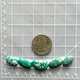 Small Sky Blue Mixed Fox Turquoise, Set of 5 Dimensions