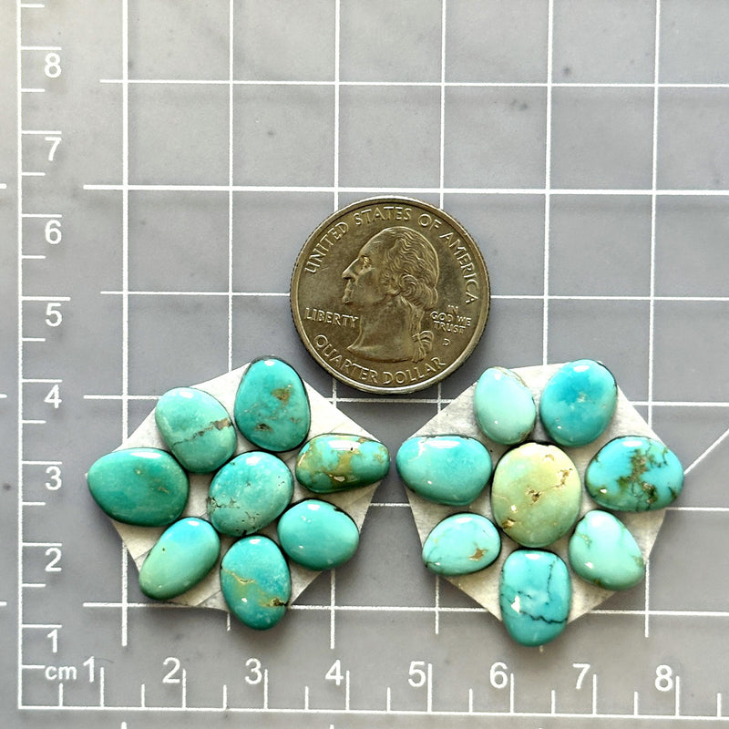 Small Sky Blue Mixed Lone Mountain Turquoise, Set of 16 Dimensions