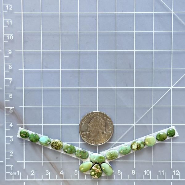 Small Lime Green Mixed Sonoran Gold Turquoise, Set of 16 Dimensions