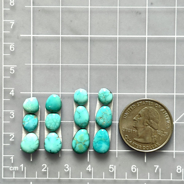 Small Sky Blue Mixed Lone Mountain Turquoise, Set of 12 Dimensions