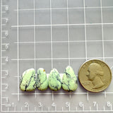 Small Faint Green Mixed Crescent Lake Variscite, Set of 4 Dimensions