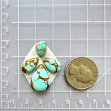 Small Sky Blue Teardrop Number 8 Turquoise, Set of 4 Dimensions
