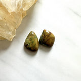 Medium Earth Brown Mixed Treasure Mountain Turquoise, Set of 2 Background