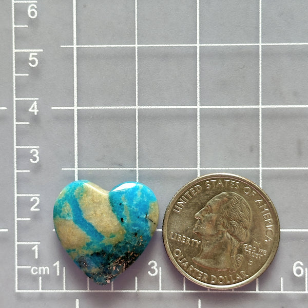 Large Sky Blue Heart Ithaca Peak Turquoise Dimensions