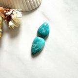 Small Ocean Blue Teardrop Fox Turquoise, Set of 2 Background