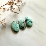 Medium Mint Green Oval Crescent Lake Variscite, Set of 3 Background