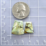 Medium Faint Green Petal Treasure Mountain Turquoise, Set of 2 Dimensions