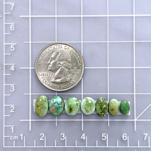 Small Sea Green Oval Sonoran Lime Turquoise, Set of 7 Dimensions