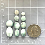 Small Faint Green Freeform Crescent Lake Variscite, Set of 10 Dimensions