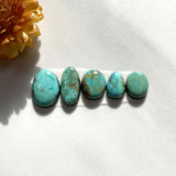 Small Sky Blue Freeform Tyrone Turquoise, Set of 5 Background