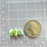 Small Lime Green Mixed Crescent Lake Variscite, Set of 4 Dimensions