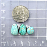 Small Sky Blue Freeform Carico Lake Turquoise, Set of 3 Dimensions