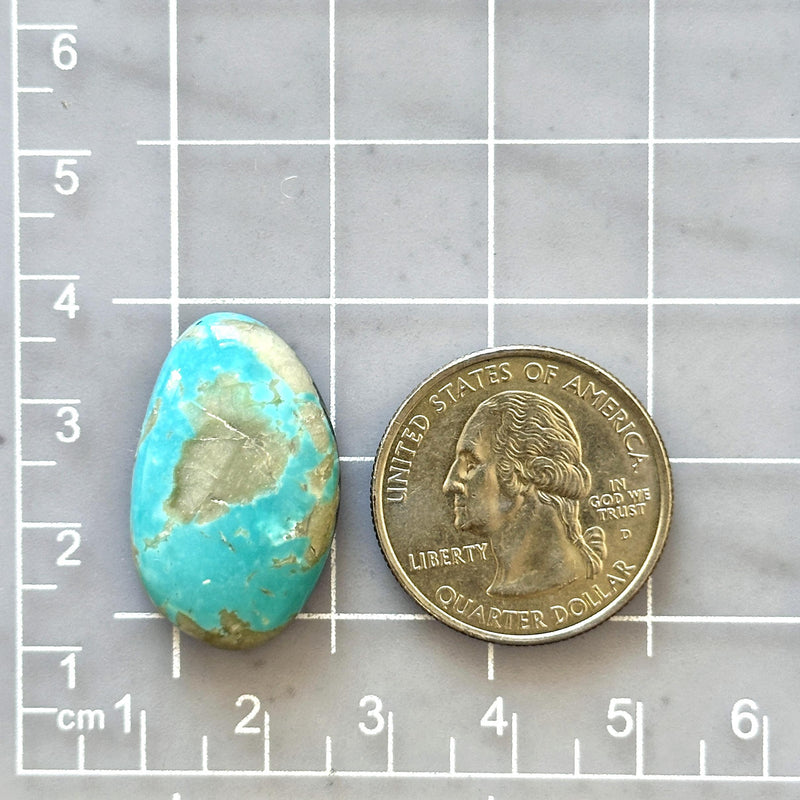 Large Sky Blue Freeform Number 8 Turquoise Dimensions