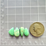 Small Mint Green Mixed Crescent Lake Variscite, Set of 4 Dimensions
