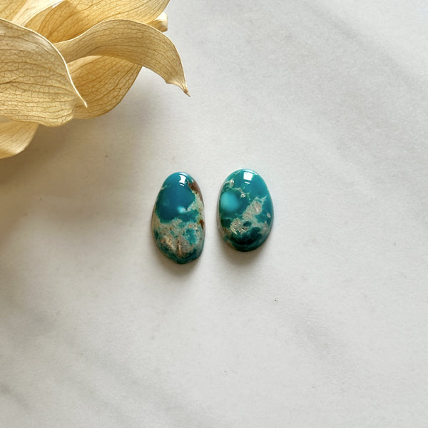 Small Mint Green Mixed Fox Turquoise, Set of 2 Background