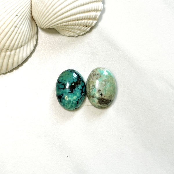 Medium Mixed Oval Crescent Lake Variscite, Set of 2 Background