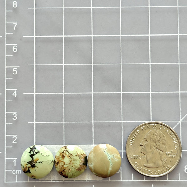 Small Pale Brown Round Treasure Mountain Turquoise, Set of 3 Dimensions