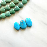 Small Sky Blue Freeform Sleeping Beauty Turquoise, Set of 3 Background