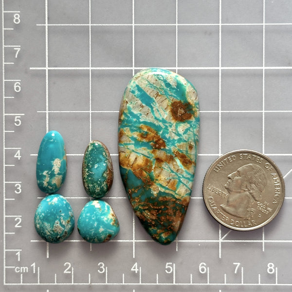 Large Sky Blue Mixed Fox Turquoise, Set of 5 Dimensions