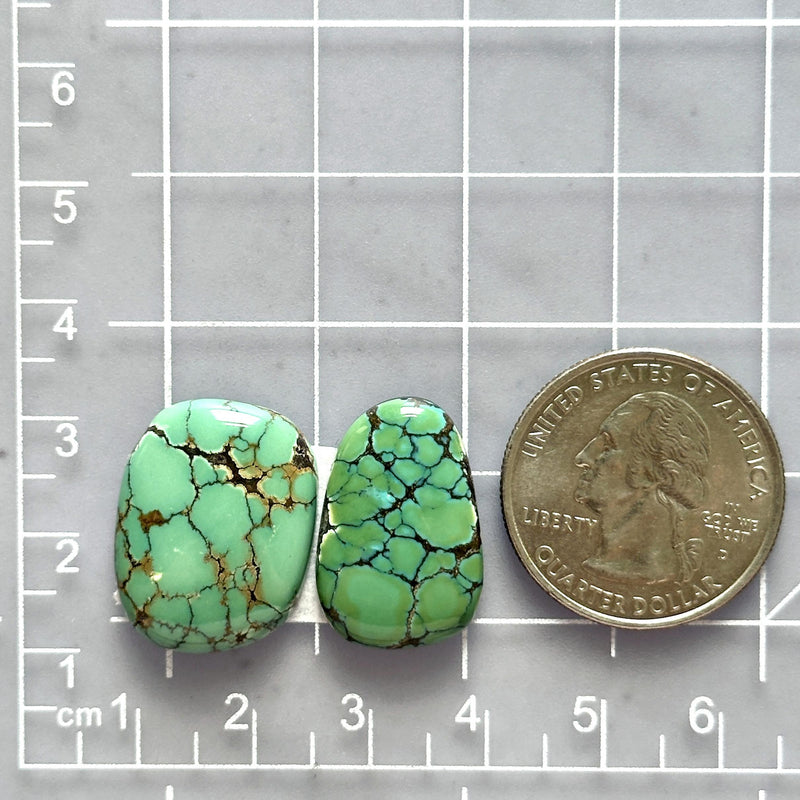 Large Mint Green Freeform Bamboo Mountain Turquoise, Set of 2 Dimensions
