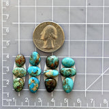 Small Mixed Mixed Number 8 Turquoise, Set of 12 Dimensions