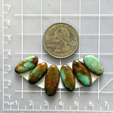 Small Sea Green Oval Tyrone Turquoise, Set of 6 Dimensions