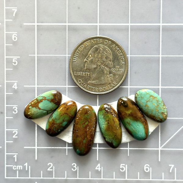 Small Sea Green Oval Tyrone Turquoise, Set of 6 Dimensions