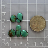 Small Deep Green Oval Kingman Turquoise, Set of 5 Dimensions
