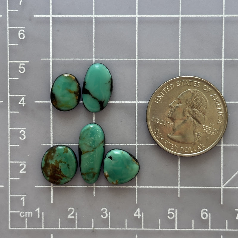 Small Deep Green Oval Kingman Turquoise, Set of 5 Dimensions