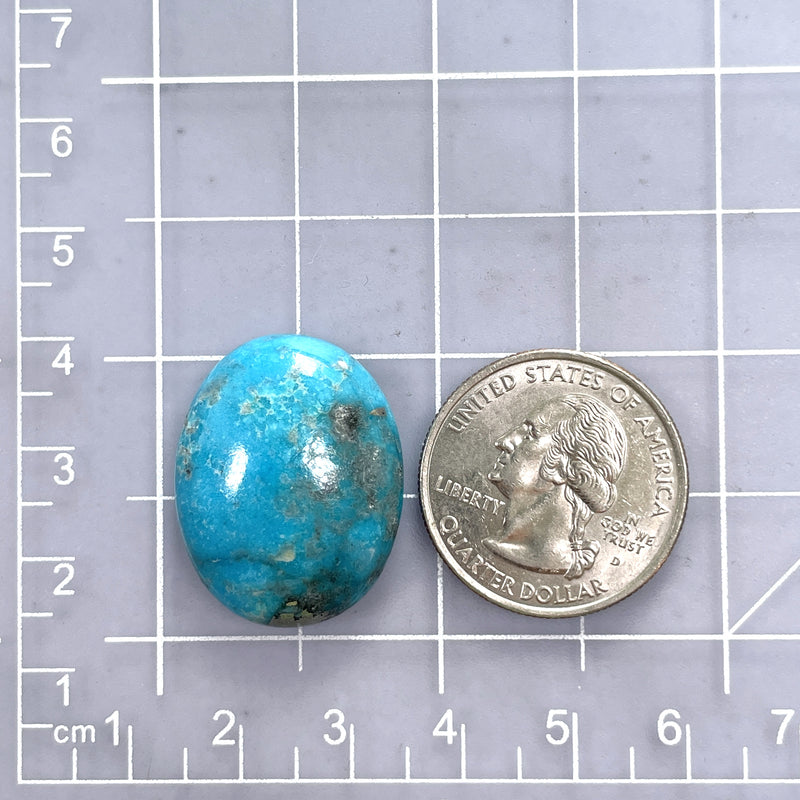 Large Sky Blue Oval Ithaca Peak Turquoise Dimensions