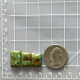 Small Bamboo Green Bar Bamboo Mountain Turquoise, Set of 3 Dimensions