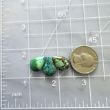Medium Bamboo Green Teardrop Bamboo Mountain Turquoise, Set of 3 Dimensions